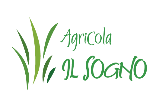 Agricola il sogno